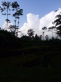 Scenic view of field against cloudy sky