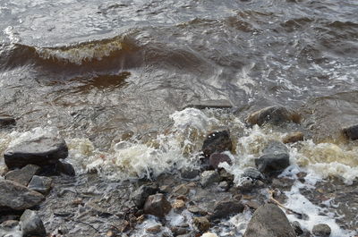 Full frame shot of rocky shore