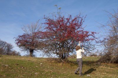 Rear view of person standing by tree on field against sky