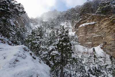 Scenic view of snow covered mountains against sky