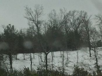 Bare trees on landscape against sky during winter