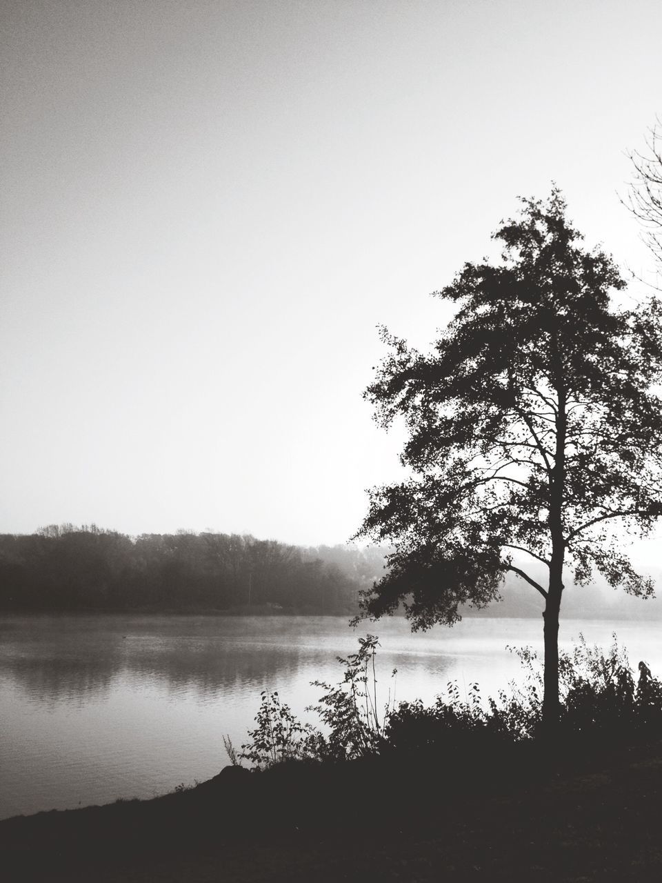 water, tranquil scene, tranquility, clear sky, lake, scenics, copy space, tree, beauty in nature, silhouette, nature, reflection, calm, idyllic, lakeshore, non-urban scene, river, outdoors, non urban scene, growth