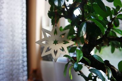 Close-up of christmas decorations hanging on tree at home