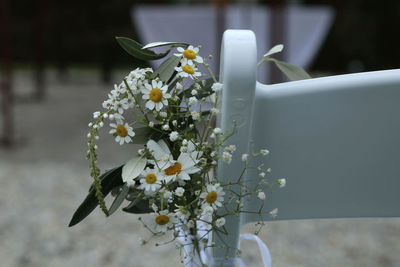 Close-up of flowers