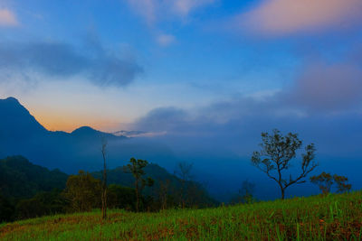 Scenic view of field against sky