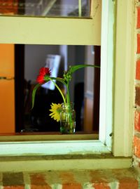 Close-up of flower pot on window sill