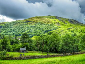 Scenic view of grassy field against cloudy sky