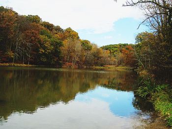 Scenic view of lake by trees against sky