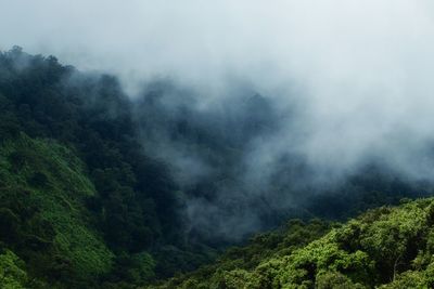 Mountains shrouded in mist