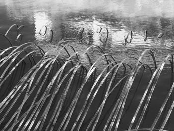 High angle view of rippled water in lake