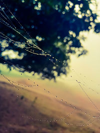 Close-up of water drops on spider web against sky