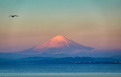 Scenic view of snowcapped mountains with flying bird against sky during sunrise