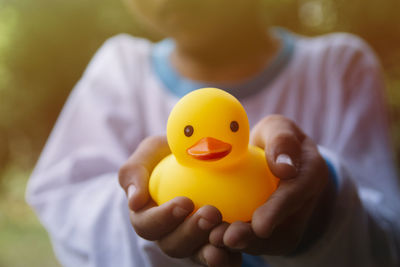 Close-up of hand holding toy duck
