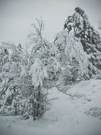 Scenic view of snow covered landscape