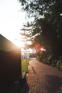 Footpath in park