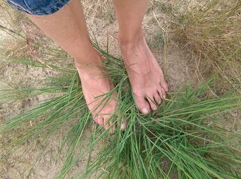 Low section of woman standing on grass