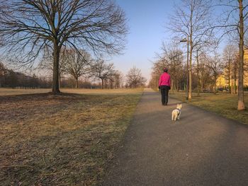 Rear view of man with dog on road against sky