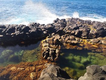 High angle view of rocks on beach