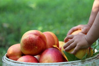 Close-up of apples in basket