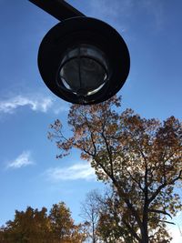 Low angle view of trees against blue sky