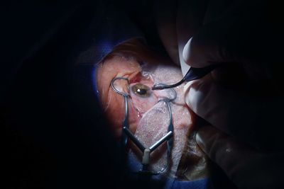 Close-up of man using mobile phone