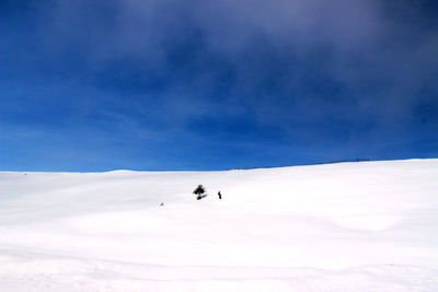 People on snowcapped mountain against sky