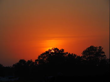 Silhouette trees against orange sky during sunset
