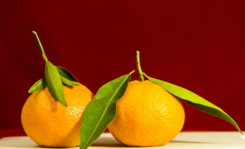 Close-up of orange fruit against red background