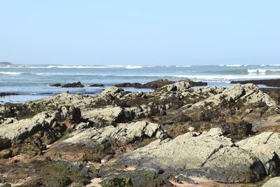 Scenic view of sea against clear sky