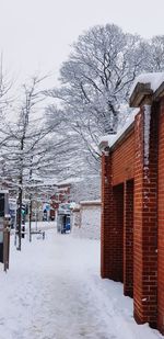 Snow covered houses against sky during winter