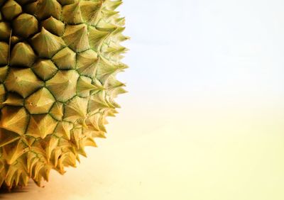 Close-up of fruit against white background