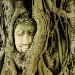 Close-up of buddha statue