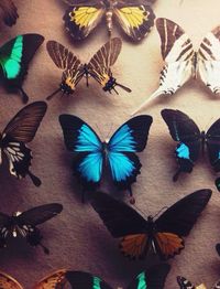 Close up of multi colored wall