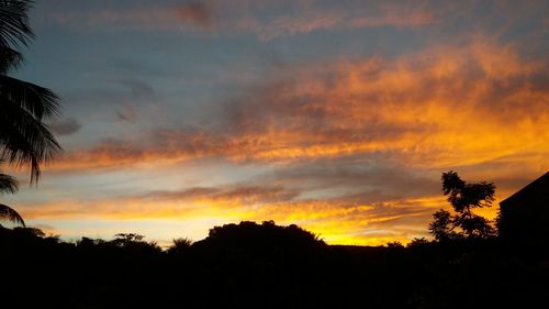 Silhouette trees against dramatic sky during sunset