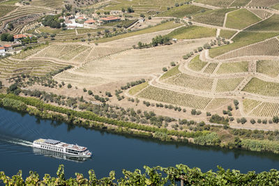 Vineyards in the douro river, alto douro wine valley