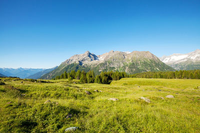 Scenic view of field and mountains against clear blue sky