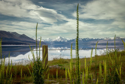 Scenic view of lake and mountains against sky