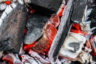 Close-up of fire on log