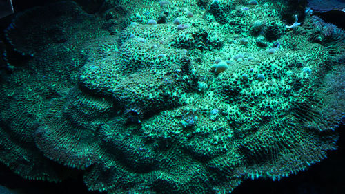 Full frame shot of white background