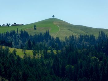 Scenic view of landscape against clear sky