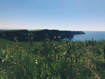 Scenic view of sea against clear sky