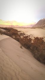 Scenic view of desert against clear sky