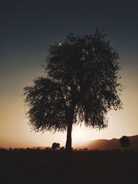 Silhouette tree against clear sky at sunset