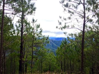 Scenic view of mountains