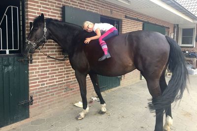 Portrait of smiling girl sitting on horse at stable