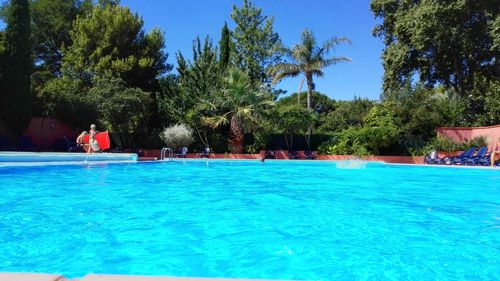 People in swimming pool against trees