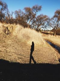 Shadow of man walking on field