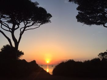 Silhouette trees against sky during sunset
