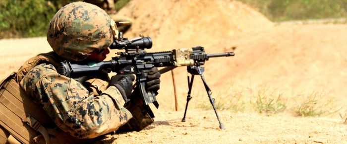 Close-up of plant against white background
