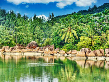 Scenic view of lake by trees against sky